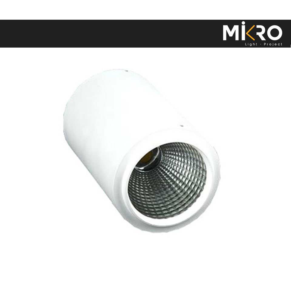 Gillio – 3124